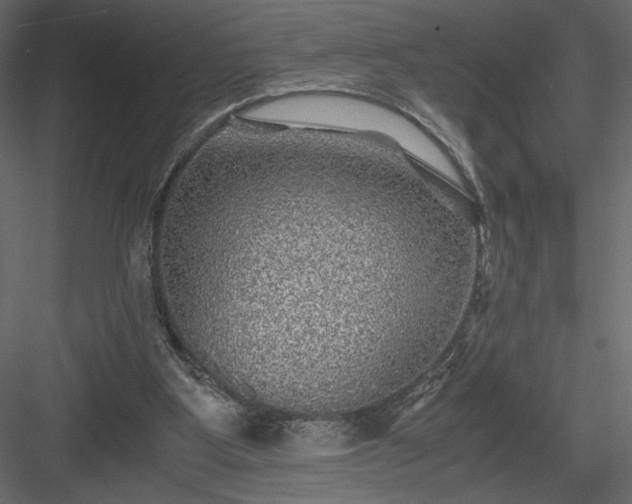 X0000084030107200702232309