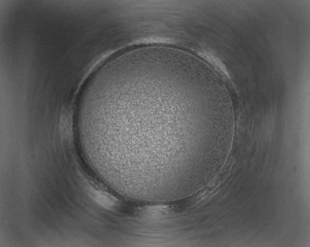 X0000084030108200702232309