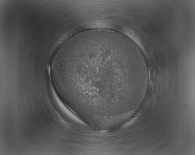 X0000084030109200702232309