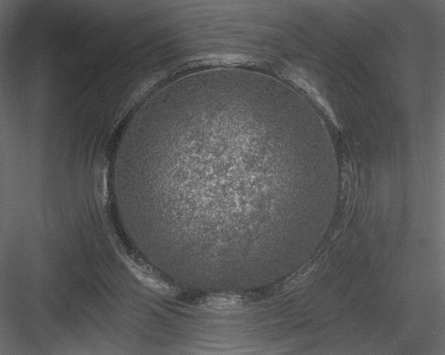 X0000084030110200702232309