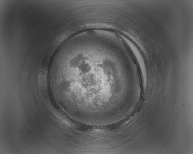 X0000084030111200702232309