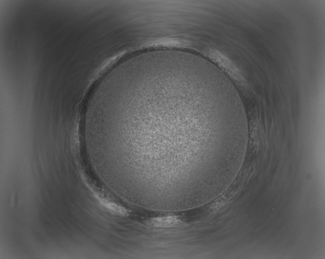 X0000084030112200702232309