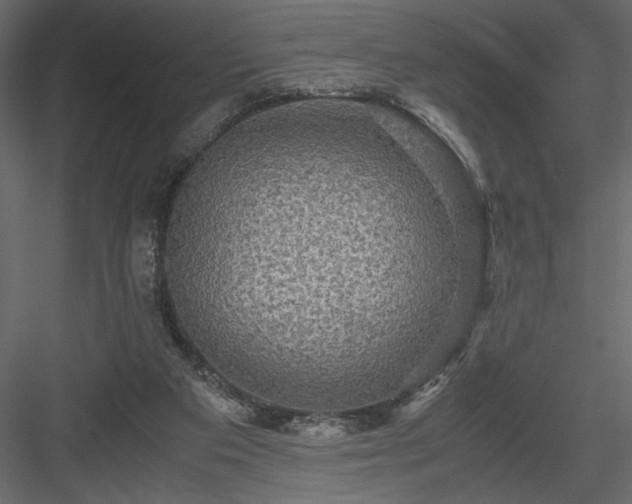 X0000084030113200702232309