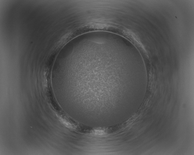 X0000084030114200702232308