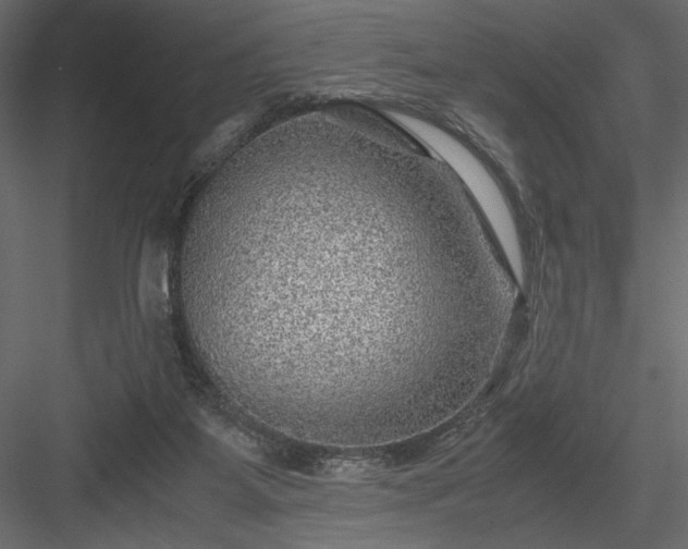 X0000084030115200702232308