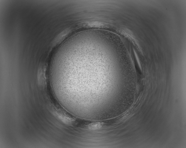 X0000084030116200702232308