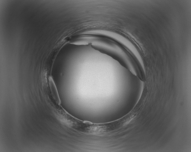 X0000084030117200702232308