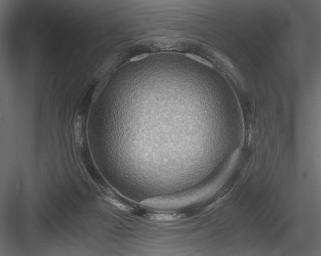 X0000084030121200702232308