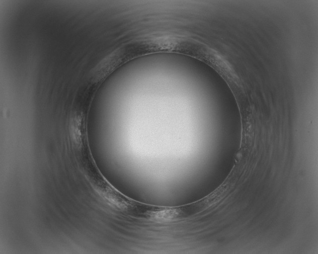 X0000084030122200702232308