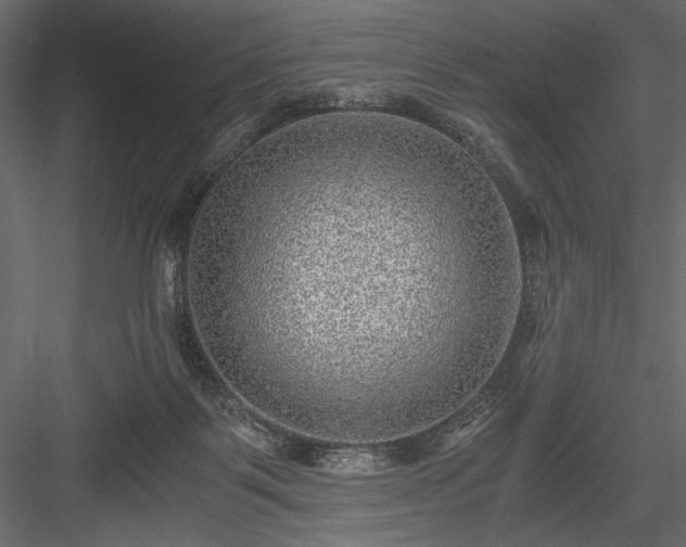 X0000084030123200702232308