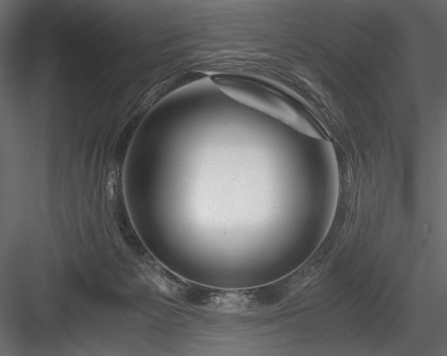 X0000084030125200702232308