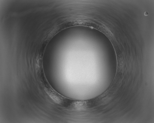 X0000084030126200702232308