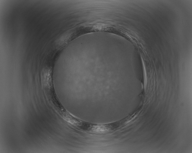 X0000084030127200702232308