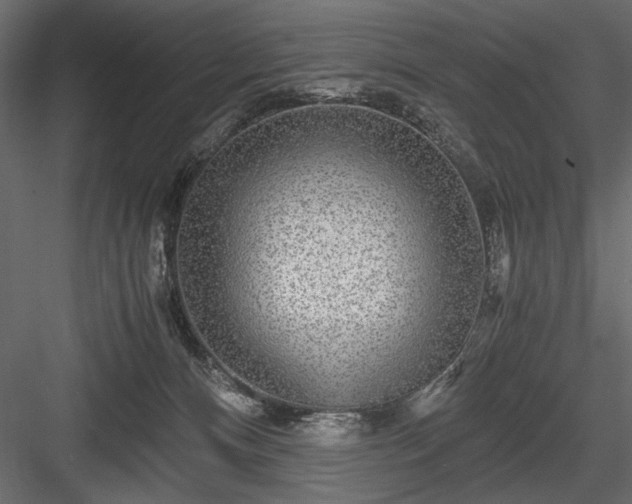 X0000084030128200702232308