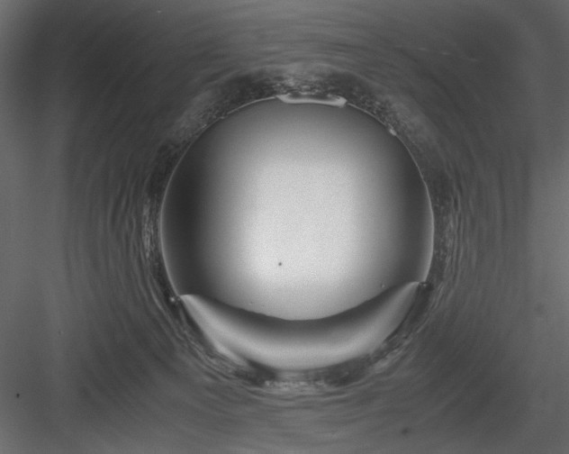 X0000084030129200702232308