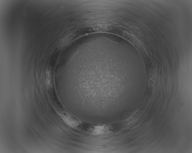 X0000084030130200702232308