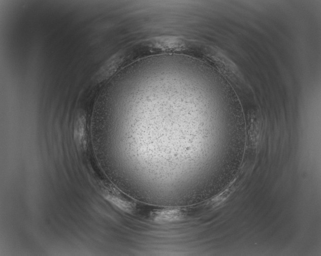 X0000084030132200702232308