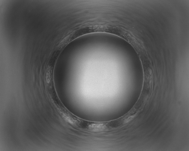 X0000084030133200702232308