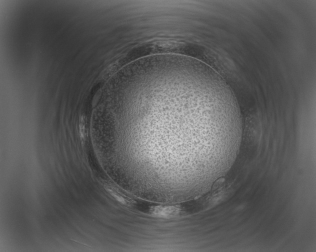 X0000084030135200702232308