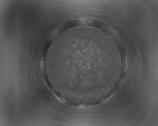 X0000084030137200702232308