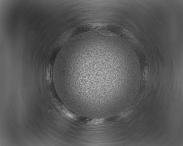 X0000084030138200702232308