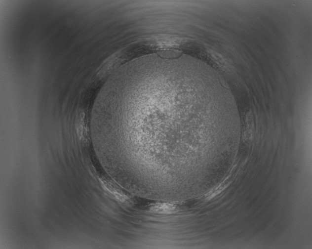 X0000084030140200702232308