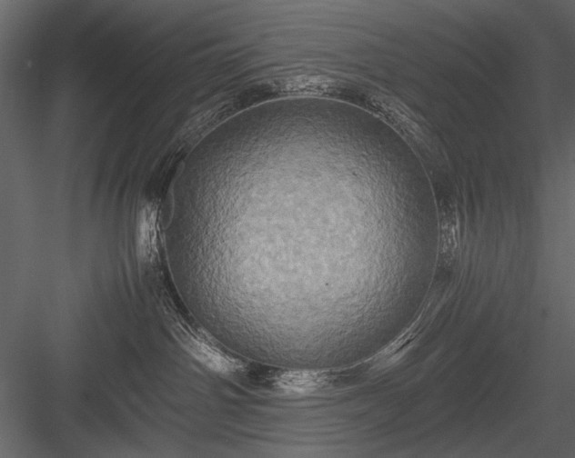 X0000084030142200702232308