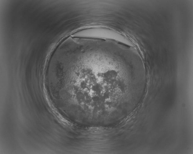 X0000084030145200702232307