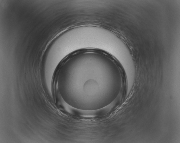 X0000084030146200702232307