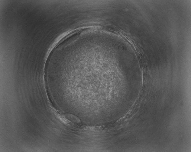 X0000084030147200702232307