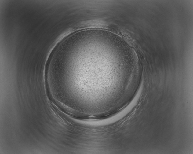 X0000084030148200702232307