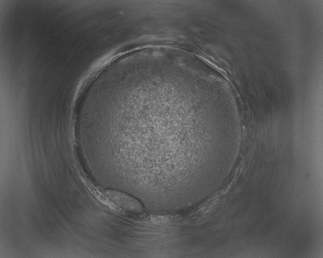 X0000084030149200702232307