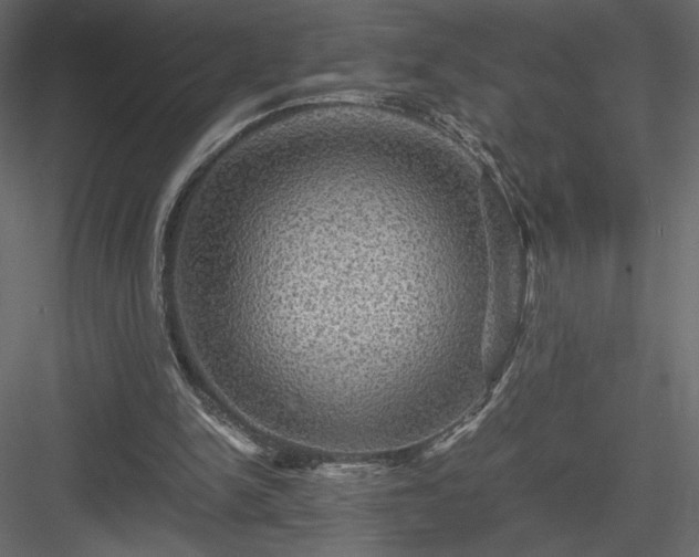 X0000084030150200702232307