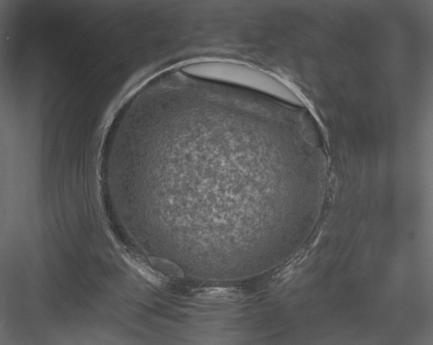 X0000084030151200702232307