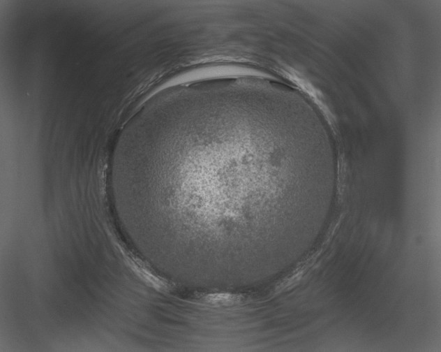 X0000084030153200702232307