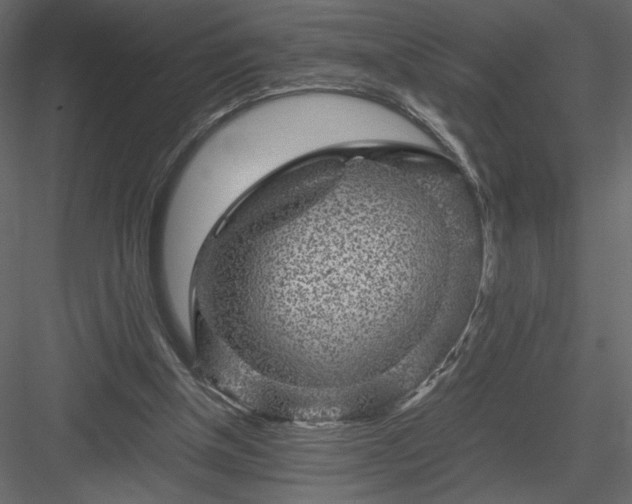 X0000084030154200702232307