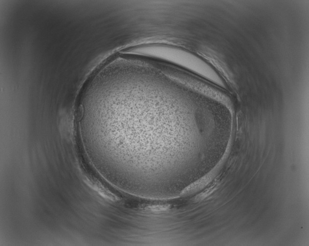 X0000084030156200702232307