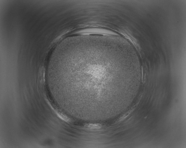 X0000084030157200702232307