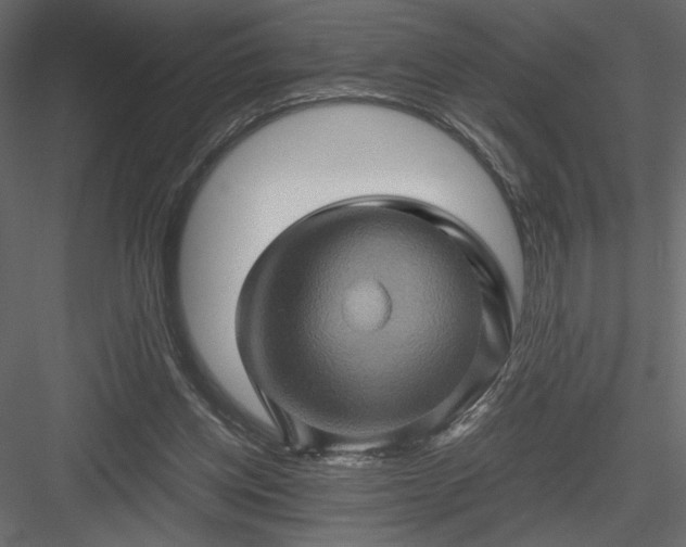 X0000084030158200702232307