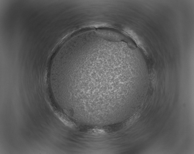 X0000084030159200702232307