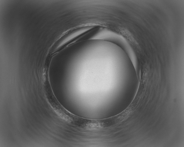 X0000084030160200702232307