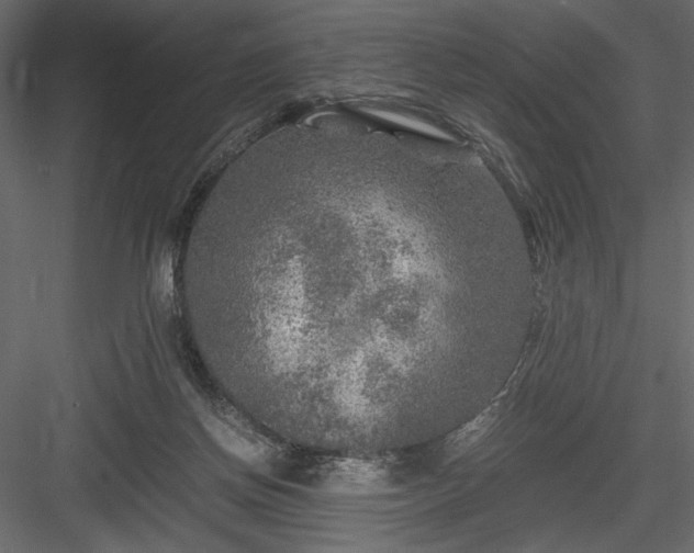 X0000084030166200702232308