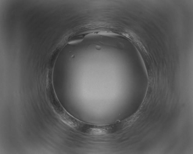 X0000084030167200702232308