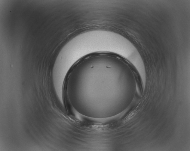 X0000084030172200702232308