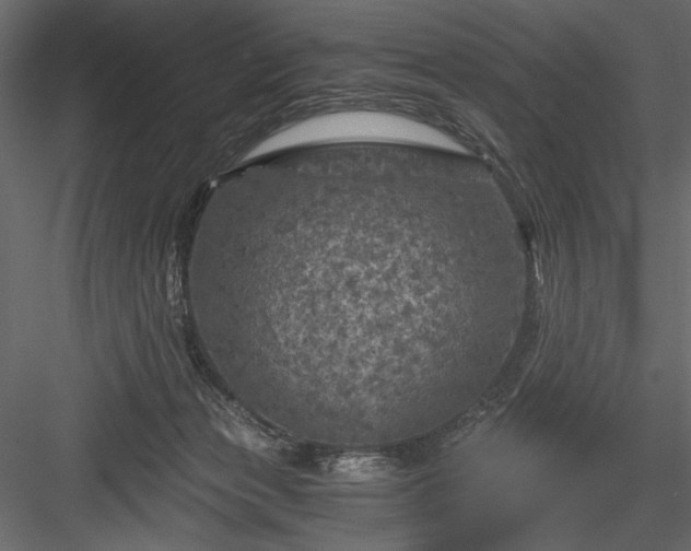 X0000084030173200702232308