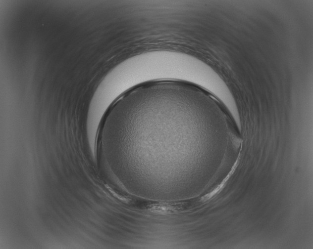 X0000084030174200702232308