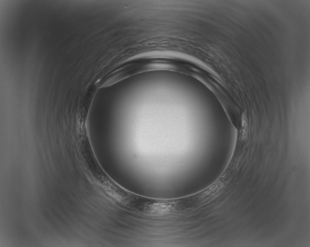 X0000084030176200702232308