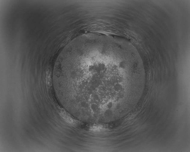 X0000084030177200702232308