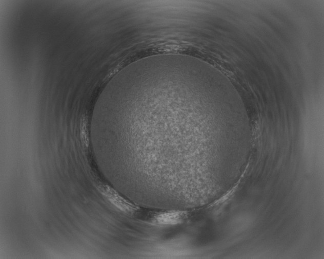 X0000084030178200702232308