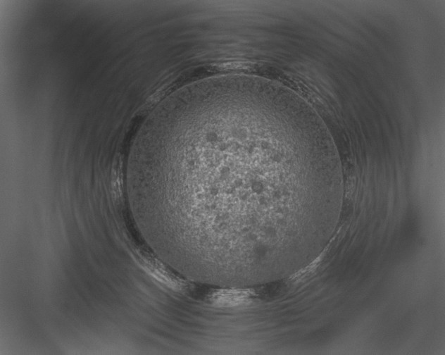 X0000084030179200702232308